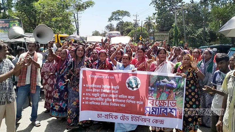 ৫০০ টাকা মজুরির দাবিতে সিলেটে চা-শ্রমিকদের সড়ক অবরোধ