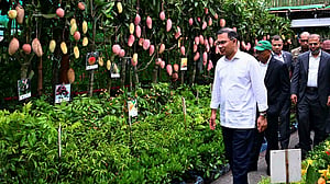 পরিবেশ ও বৃক্ষমেলার উদ্বোধন