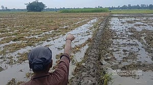 ঠাকুরগাঁওয়ে বজ্রপাতে বাবা-ছেলের মৃত্যু