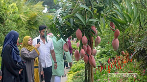 ছুটির দিনে জমেছে বৃক্ষমেলা