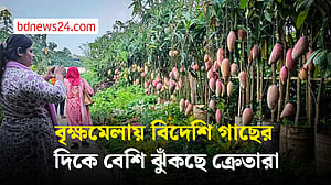 বৃক্ষমেলায় বিদেশি ফুল ও ফলগাছের ভিড়ে কোণঠাসা দেশি প্রজাতি