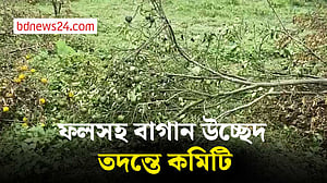 মৌলভীবাজারে চাঁদা না পেয়ে ৬০০ গাছ কাটার অভিযোগ বনবিভাগের দুই কর্মকর্তার বিরুদ্ধে