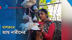 মাশরুম চাষে সাঁওতাল নারীদের ভাগ্য বদলের চেষ্টা
