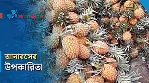 আনারসে মেলে যেসব পুষ্টি