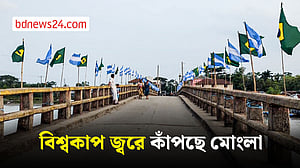 বিশ্বকাপ উত্তেজনা বাগেরহাটের সেতুতে উড়ছে ১৮০ পতাকা