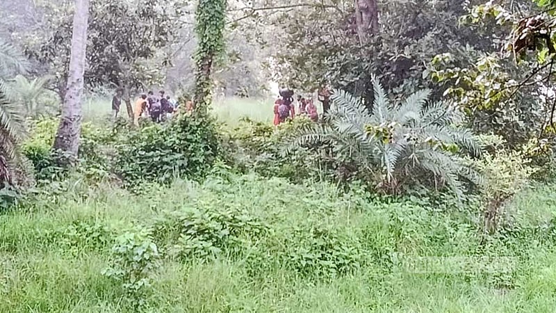 চাঁপাইনবাবগঞ্জ সীমান্তে শূন্যরেখা থেকে ২৮ জনকে ফিরিয়ে নিল বিএসএফ
