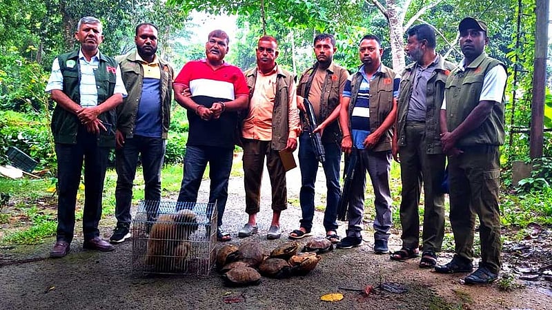 হনুমান, কচ্ছপ ‘পাচারকালে’ চকরিয়ায় গ্রেপ্তার ১