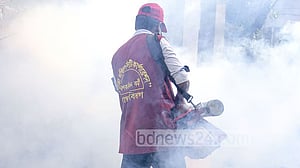 ডেঙ্গু প্রতিরোধে জাতীয় কমিটি পুনর্গঠন
