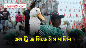 নজর কাড়ল মেক্সিকোর বিশ্বকাপ জার্সি পরা হাঁস