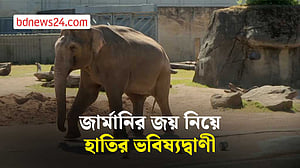 আইভরি কোস্টের বিপক্ষে জার্মানির জয় দেখছে ‘ভবিষ্যৎদ্রষ্টা’ হাতি তারাক