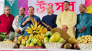 জাতীয় প্রেস ক্লাব হয়ে গেল ফল উৎসব
