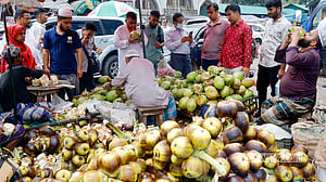 গরমে ডাব-তালশাঁসে তৃপ্তি