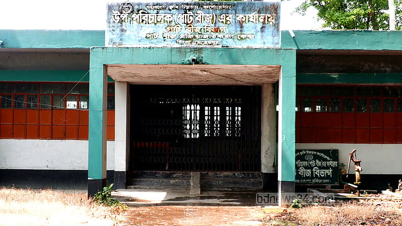 কুষ্টিয়ায় বিএডিসির ‘ভেজাল ও নিম্নমানের’ পাটবীজে ক্ষতিগ্রস্ত চাষি, দায় কার?