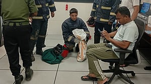 মেট্রোরেলের লাইনে বিড়াল, চলাচল বন্ধ ২০ মিনিট