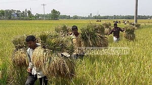 কৃষিঋণে ‘স্মার্ট কার্ডধারী’ কৃষকদের অগ্রাধিকার দিতে বলেছে কেন্দ্রীয় ব্যাংক