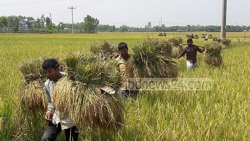 কৃষিঋণে ‘স্মার্ট কার্ডধারী’ কৃষকদের অগ্রাধিকার দিতে বলেছে কেন্দ্রীয় ব্যাংক