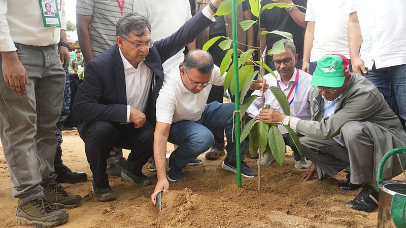 সব মাধ্যমিকে বৃক্ষরোপণ কর্মসূচি, উদ্বোধন করবেন প্রধানমন্ত্রী