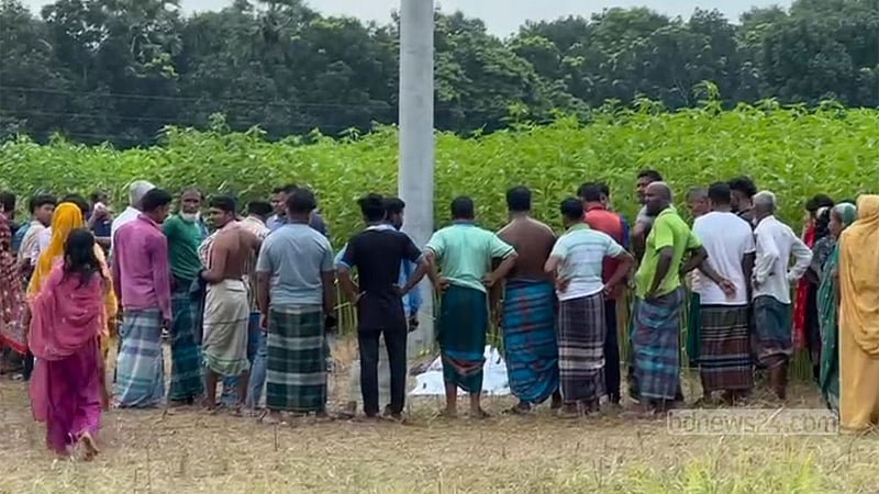 বাড়ি থেকে বেরিয়ে আর ফেরেনি, পাটক্ষেতে মিলল লাশ