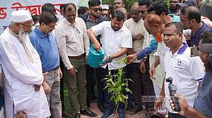 রাজশাহী নগরে আড়াই লাখ গাছ লাগাবে সিটি করপোরেশন