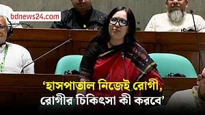 ‘কোনো দলের হুইপ আমার দায়িত্ব কেউ নিতে চান না’