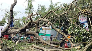 কয়েক মিনিটের ঝড়ে তছনছ কালিহাতীর এক বাজার