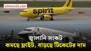 বিমান পরিবহন খাতে মুনাফা অর্ধেকে নামার আশঙ্কা