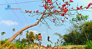 আগুনরঙা শিমুলের দোল
