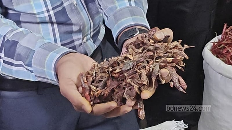 ধানের তুষ-পচা মরিচ দিয়ে মসলা তৈরি, ২ ব্যবসায়ীকে জরিমানা