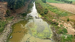 বামনসুন্দর খাল: খনন হলে ১০ হাজার টন ফসল বাড়ার আশা