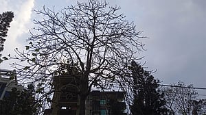 ঈদের দিন চট্টগ্রামে বৃষ্টির আভাস