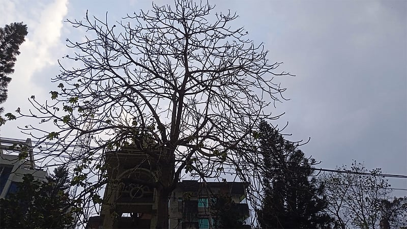 ঈদের দিন চট্টগ্রামে বৃষ্টির আভাস