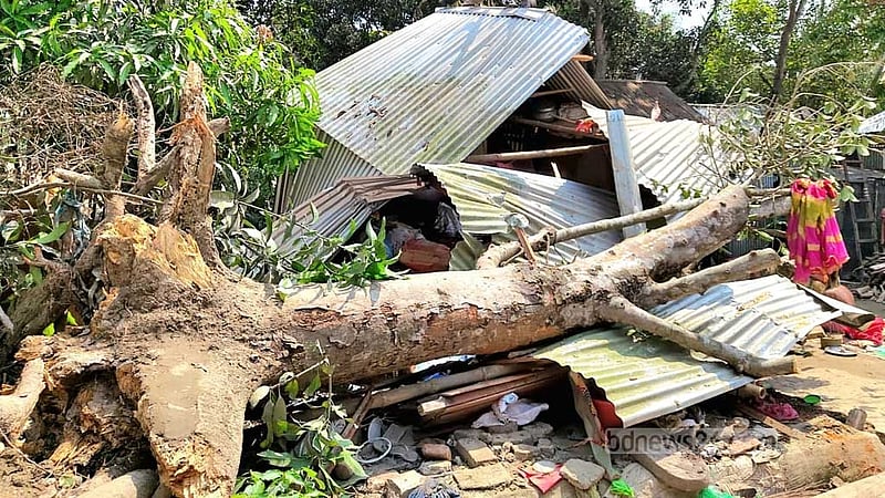 কুমিল্লায় কালবৈশাখী ঝড়ে ঘরের ওপর গাছ পড়ে নারীর মৃত্যু