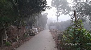চৈত্রে কুয়াশায় ঢাকা ফরিদপুর, চিন্তিত পেঁয়াজ চাষিরা