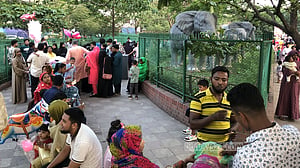 জলভ্রমণ, ছবি আর ঘোরাঘুরিতে হাতিরঝিলে ঈদ আনন্দ