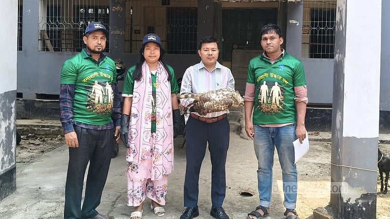 শিকারির গুলিতে আহত ঈগল উদ্ধার, চিকিৎসা দিয়ে বনবিভাগে হস্তান্তর