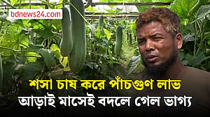 লালমনিরহাটে শসা চাষ করে পাঁচগুণ লাভ, আড়াই মাসে কৃষকের ভাগ্য বদল