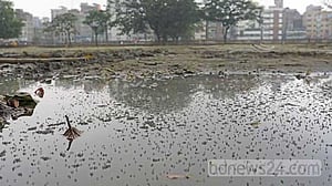 ঢাকায় মশা নিয়ে ‘যুদ্ধ’, কী করছে নগর সংস্থা?