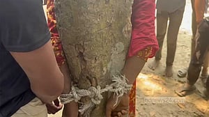 পাবনায় প্রেমিক-প্রেমিকাকে গাছে বেঁধে নির্যাতনের অভিযোগ