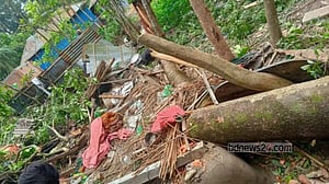 পঞ্চগড়ে কালবৈশাখীর তাণ্ডব, গাছচাপায় বৃদ্ধা নিহত