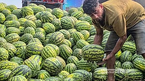 তরমুজে ভরে গেছে মস্তফাপুর আড়ত
