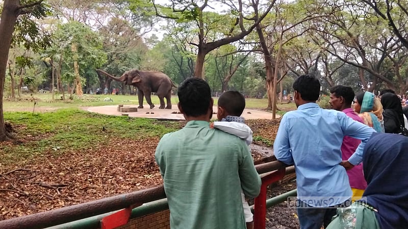 বইয়ের পাতা থেকে ‘বাস্তবের পাঠ’, ঈদে চিড়িয়াখানায় শিশুদের উচ্ছ্বাস