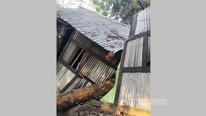 বরিশালে ঝড়ে ঘরে গাছ পড়ে গৃহবধূর মৃত্যু, ছেলে হাসপাতালে