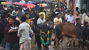 চট্টগ্রামের হাটে জমে উঠেছে বেচাকেনা