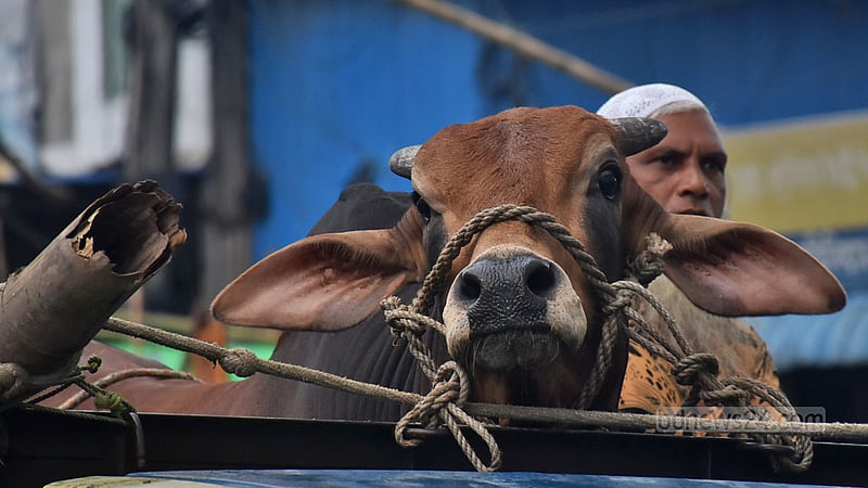 আনন্দ বারতা নিয়ে এল ত্যাগের উৎসব