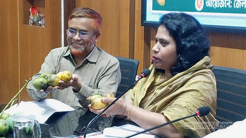 চুয়াডাঙ্গার আম বাজারে আসছে বুধবার