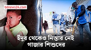 গাজার বাস্তুচ্যুতরা লড়ছে ইঁদুরের সঙ্গেও