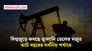 বিশ্বে তেলের মজুত আট বছরের সর্বনিম্নের পথে: গোল্ডম্যান স্যাক্স