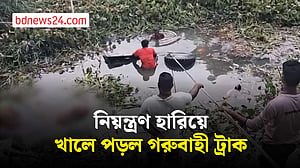 গোপালগঞ্জে  নিয়ন্ত্রণ হারিয়ে খালে ট্রাক, প্রাণ গেল ৪ গরুর