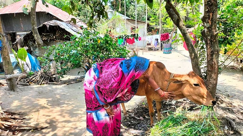 দেশীয় মাছ রক্ষায় ১৬ হাজার জেলে পরিবারে বিকল্প আয়ের ব্যবস্থা