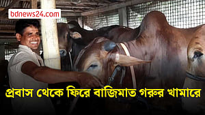 প্রবাস জীবনের ইতি টানা নাজিম গরুর খামারে সফল
